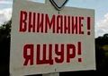 В ЗАБАЙКАЛЬЕ ОТМЕЧЕНА ВСПЫШКА ЯЩУРА