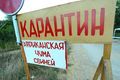 ЗАДАЧА: ОСТАНОВИТЬ ЗАРАЗУ!